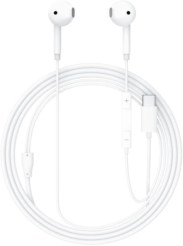 Acefast L13 In-Ear Ausinės su laidu with USB-C Mikrofonas - Baltas