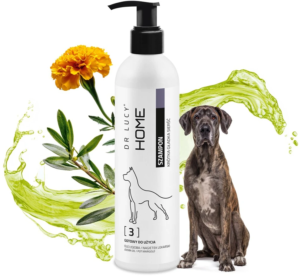 DR LUCY Home 3 trumpo kailio šampūnas šunims - 250 ml
