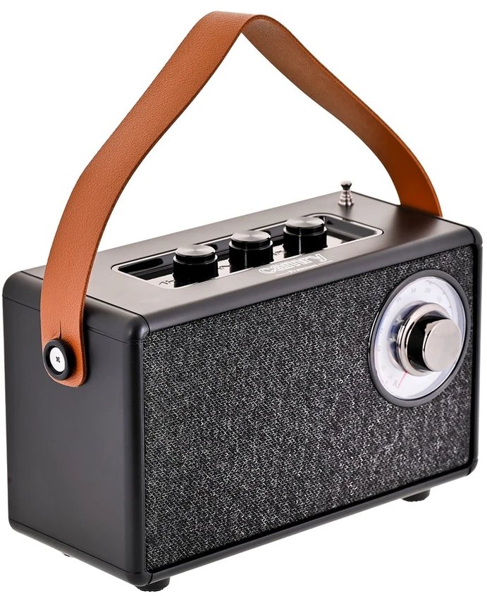 Camry | Speaker with radio | CR 1902 B | Juodas | Belaidė jungtis