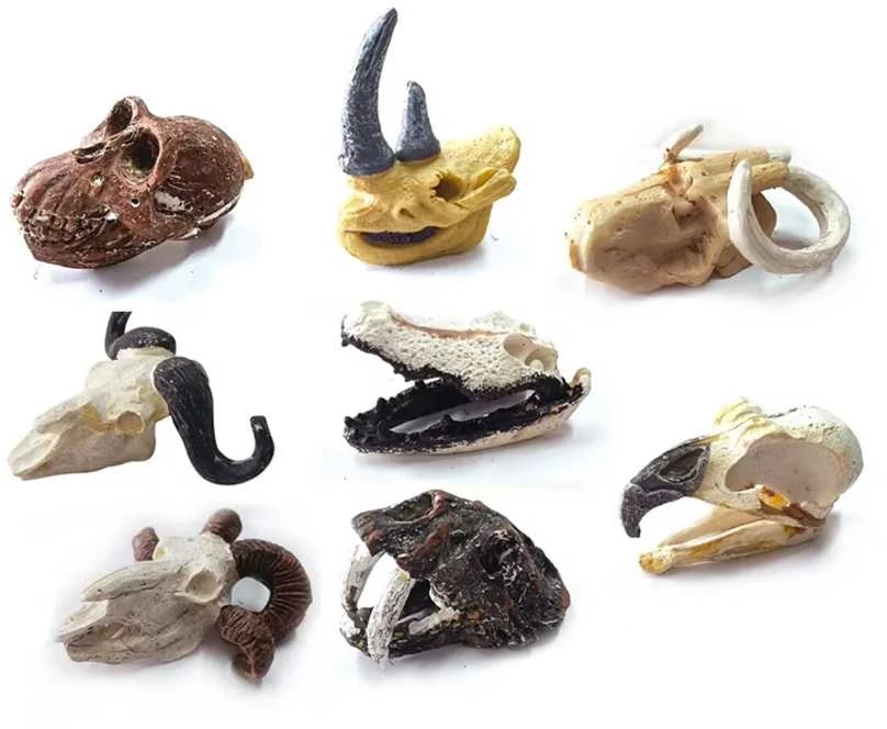 Dėlionė Jokomisiada Archaeology Kit Dig Up a Surprise Fossilized Leaves and Bones ZA5753