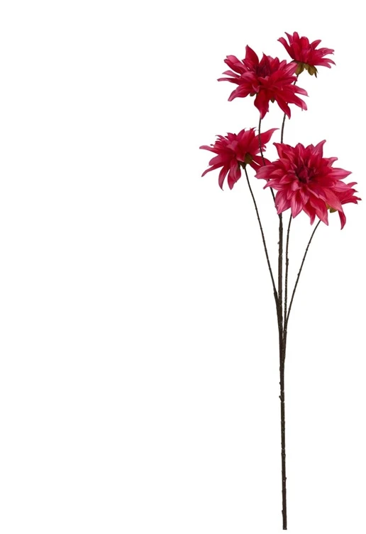 Nežinomas ŠAKA DIRBTINĖ 318805330 111CM 4 DIZAINAI