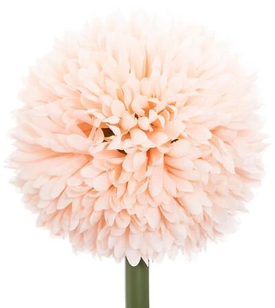Dirbtinė šakelė Atmosphera Pompom. 60 cm