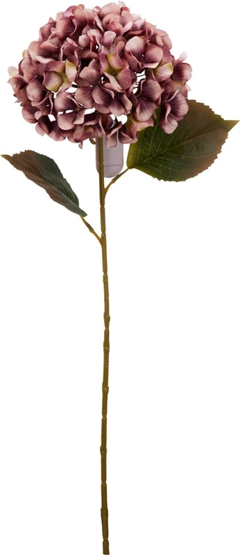 Nežinomas ARTIFICIAL FLOWER PL8000200 76 CM 3 DESI