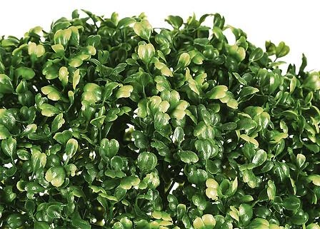 Artificial plant Atmosphera Buxus. žalias. 28 cm x 28 cm