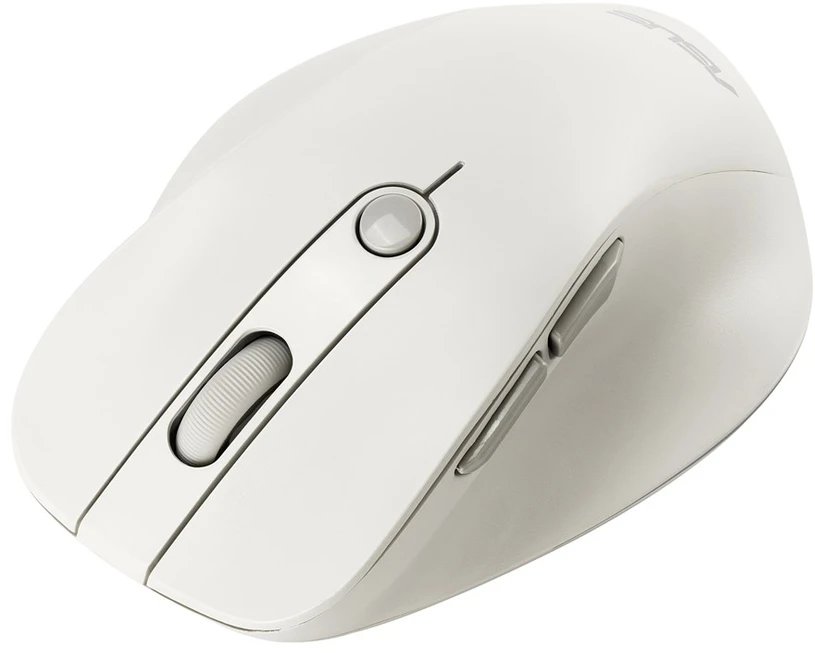 Asus Pelė | MD105 | Wireless | Bluetooth, 2.4GHz | Milky Baltas