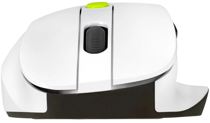 Asus Pelė | MD105 | Wireless | Bluetooth, 2.4GHz | Volt Žalias