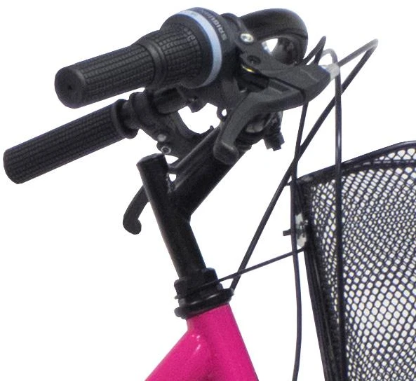 Dviratis miesto Bottari Pisa, 28 „, 18” (44.45 cm) rėmas