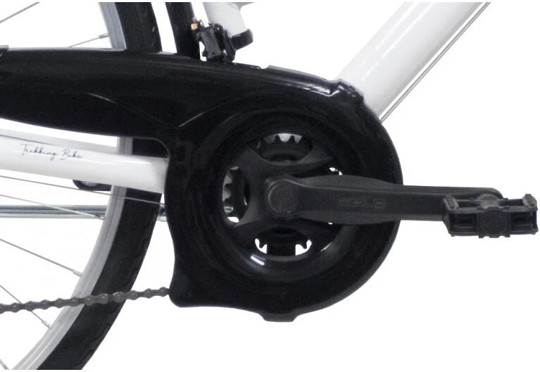 Nežinomas Dviratis miesto Good Bike Firenze City Lady, 28 "