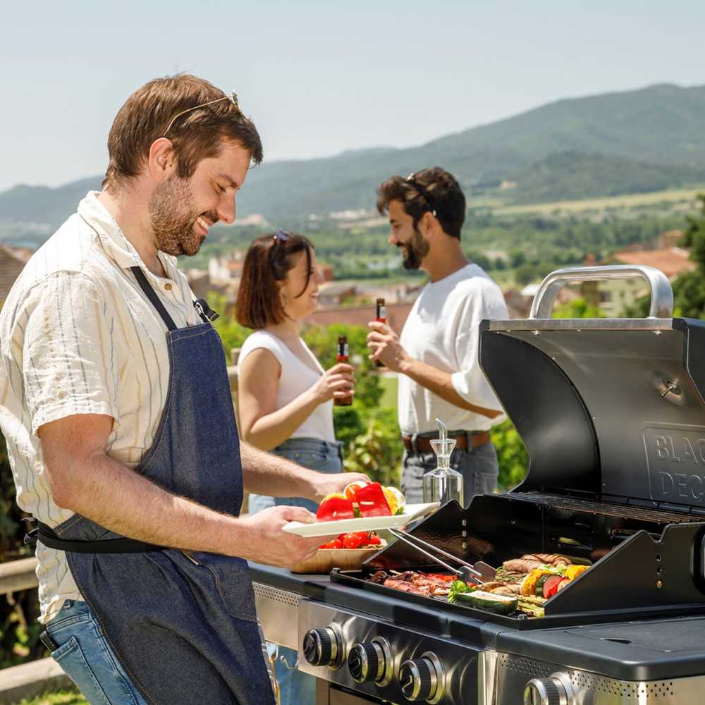 Black & Decker juodas+decker Juodas & Decker BXOG12950E gas grill, 3 burners