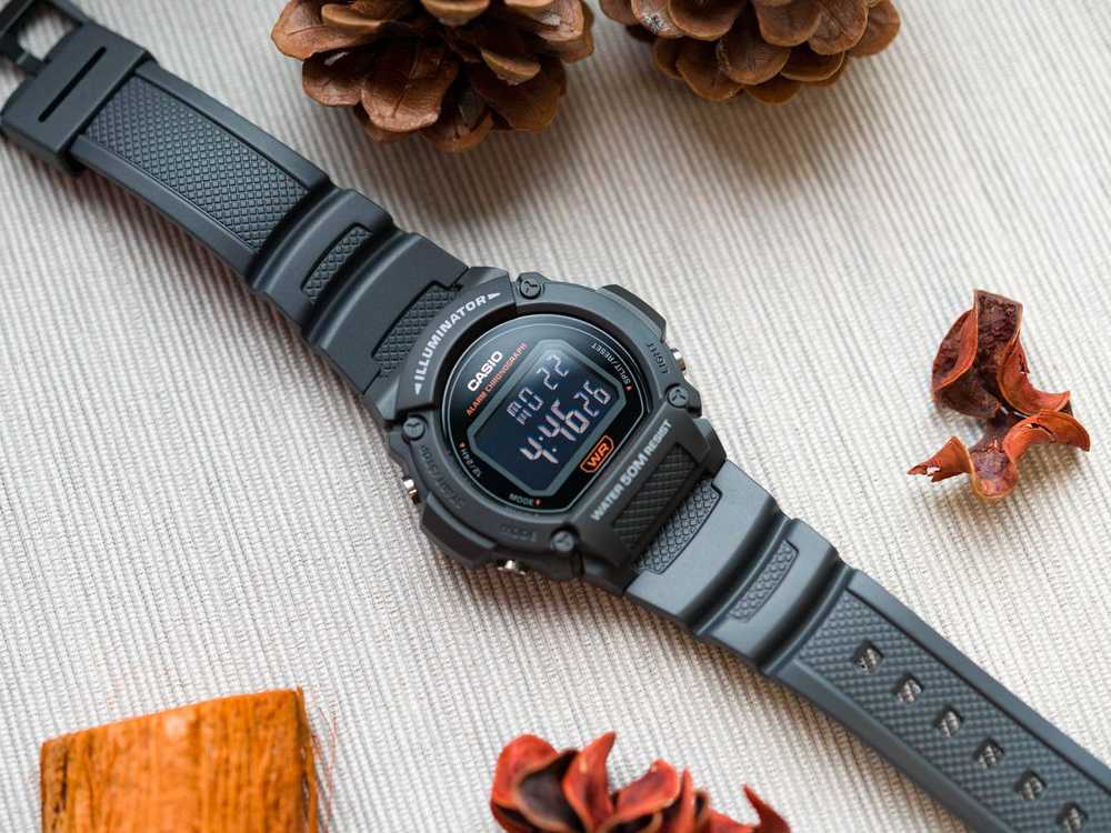 Laikrodis Casio W-219H-8BVEF