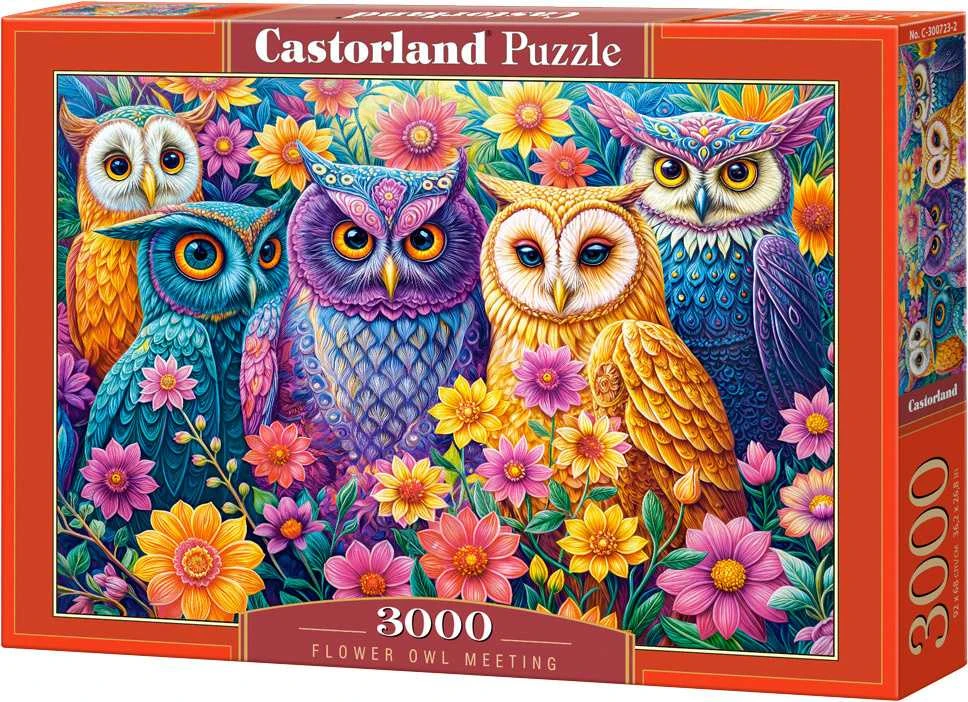 Castorland dėlionė Flower Owl Meeting 3000 det.