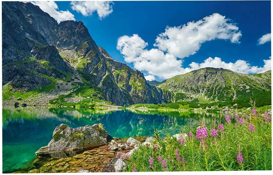 Castorland dėlionė Juodas Staw pod Rysami, Tatras, Poland 500 det