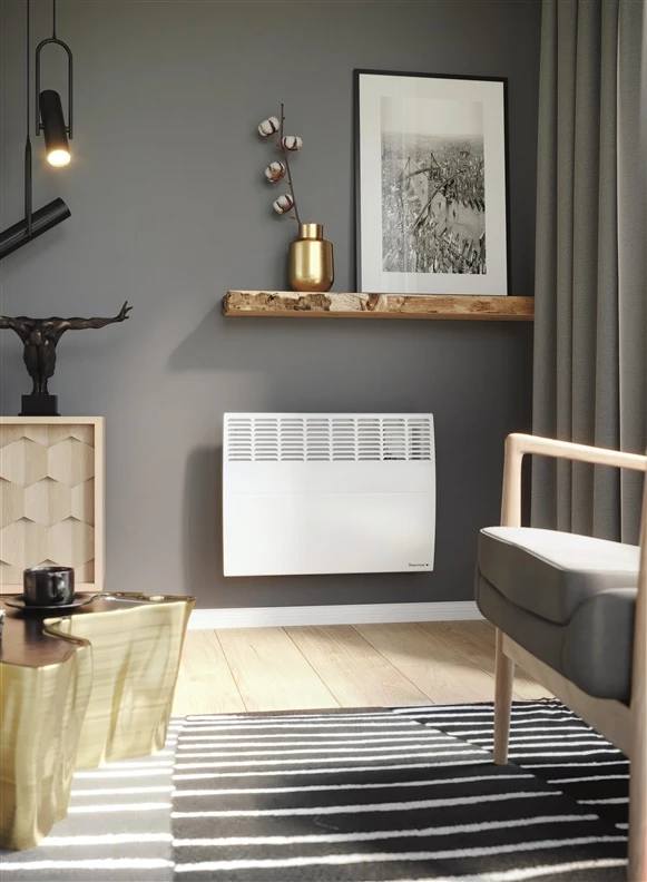 Convection radiator Thermor EVIDENCE 3 CONNECT 1500W PLUG