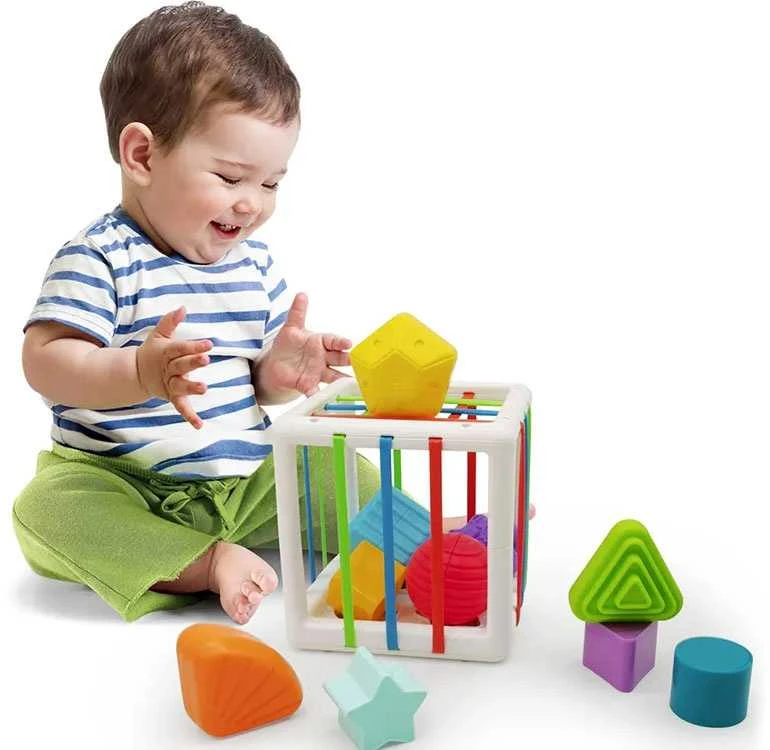Jokomisiada „Cube Sorter“ žaislas kūdikio trintukui