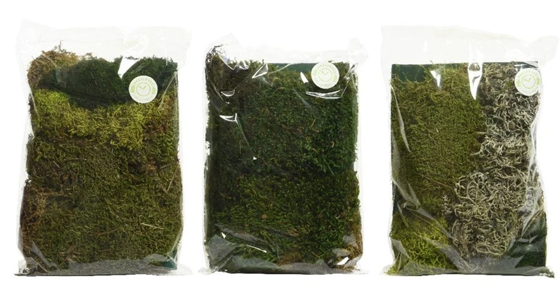 None Nežinomas Dekoratyvinės samanos, 110g