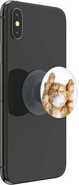 Popsockets PopGrip Basic Snoozy Cat