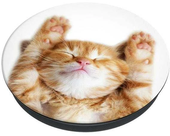 Popsockets PopGrip Basic Snoozy Cat
