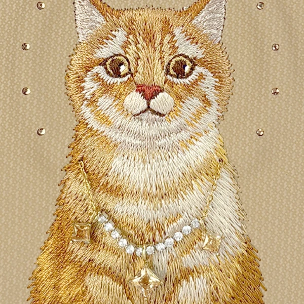 „Nimmy Lucky Fashion Cat“ „MagSafe“ dėklas, skirtas „iPhone 17 Pro“ – ruda aprašymas - Prekės nuotrauka