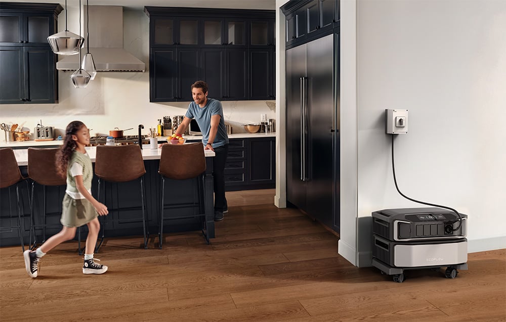 Nešiojamas „EcoFlow DELTA Pro Ultra“ keitiklis aprašymas - Prekės nuotrauka