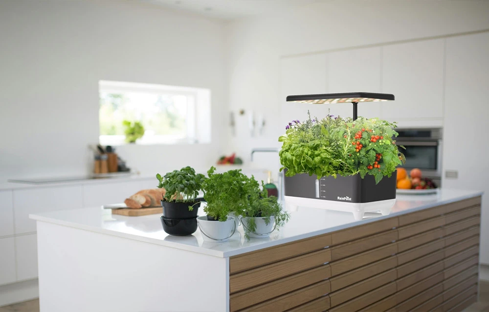 RainPoint Hydroponic Growing Kit aprašymas - Prekės nuotrauka