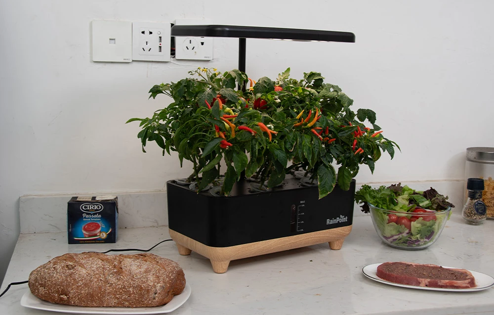 RainPoint Hydroponic Growing Kit aprašymas - Prekės nuotrauka