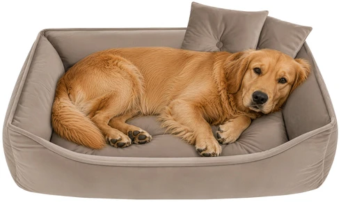 Dog/cat bed 70x50cm Purlov