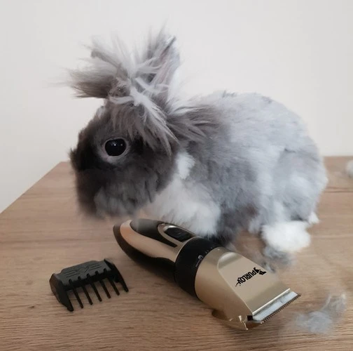 Dog clipper - set Purlov 24089