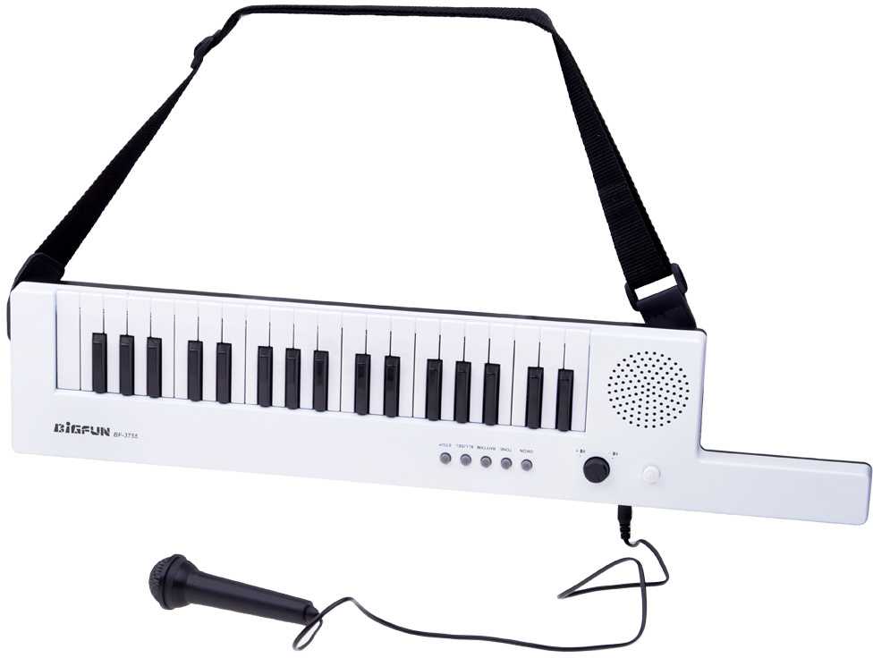 Jokomisiada Elektroniniai vargonai su rankena, muzikinis žaislas vaikams IN0172