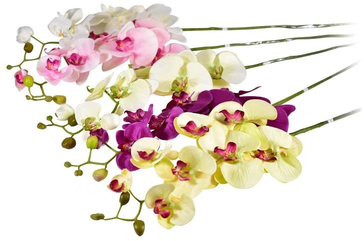 Emivela Dirbtinė orchidėja, 70 cm