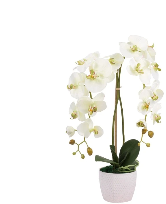 Emivela Dirbtinė orchidėja vazone, 65 cm