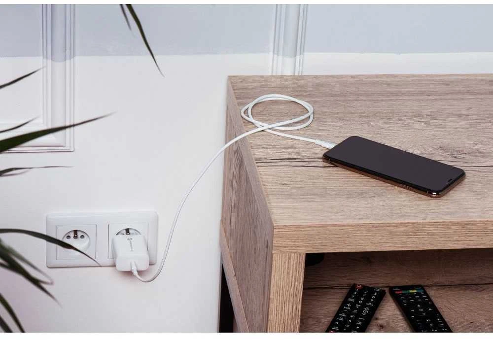 PTC Forcell 230V sieninis įkroviklis su USB Type-C, žaibo (APPLE) laidu 3A 20W su PD ir QC 4.0 įkrovimo funkcija