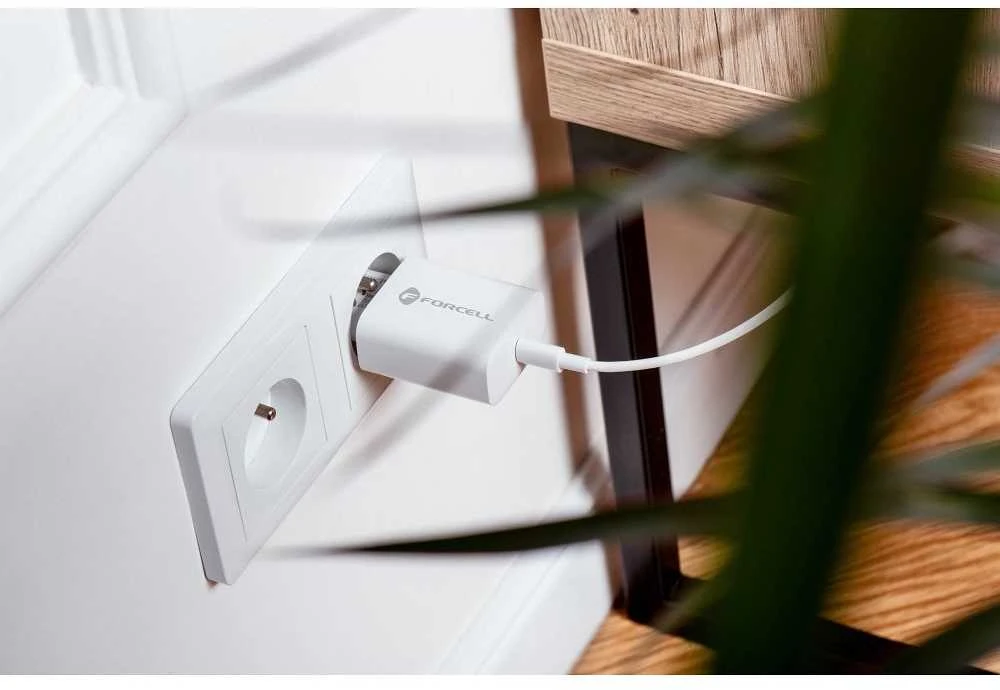 PTC Forcell 230V sieninis įkroviklis su USB Type-C, žaibo (APPLE) laidu 3A 20W su PD ir QC 4.0 įkrovimo funkcija