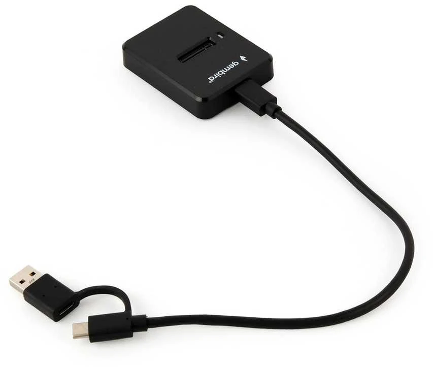 GEMBIRD Desktop USB Type-C M.2 SATA NVME SSD drive docking station juodas