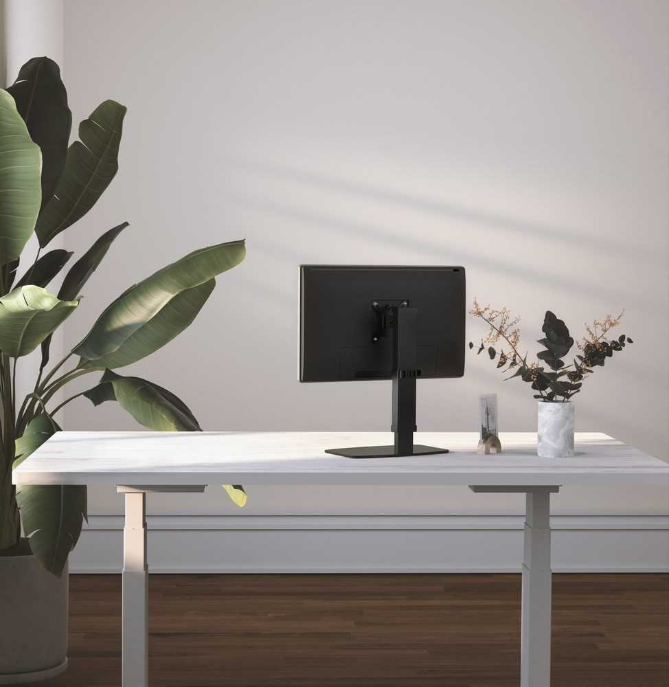 Laikiklis Gembird MS-D1ST-02 Height adjustable full-motion monitorius desk stand, 17"-32", juodas