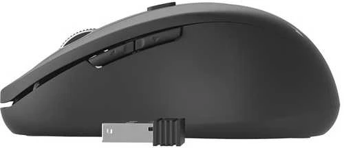 GEMBIRD MUSW-6B-01 Gembird Optinė belaidė pelė MUSW-6B-01, 1600 DPI, nano USB, juodas