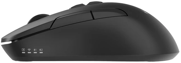 Gembird MUSW2-7B-01 Dual-mode belaidė pelė (2.4G + BT), 1600 DPI, 7-button, juodas