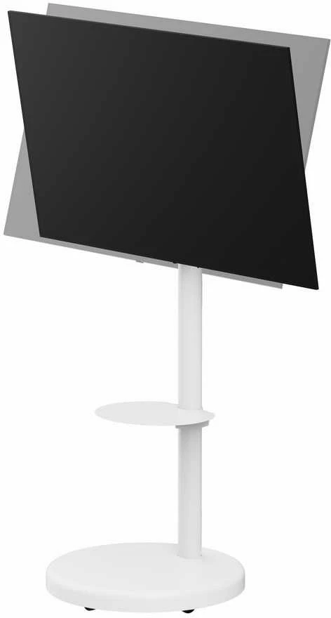 Laikiklis Gembird TV staliukas, 37" - 86" (balta)