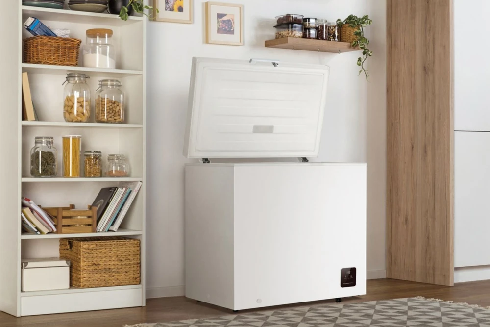Šaldiklis | FH20E6W5 | Gorenje Energy efficiency class E | Chest | Freestanding | Height 85.8 cm | Total net capacity 198 L | Ekranas | Baltas