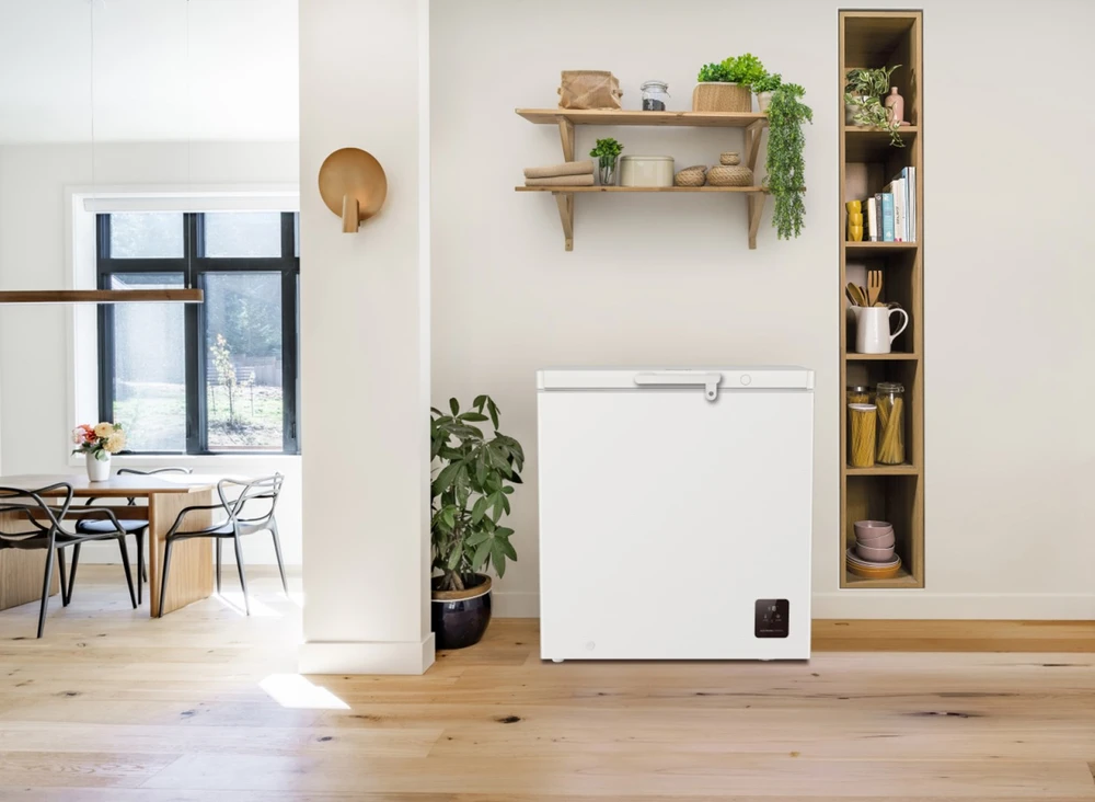 Šaldiklis | FH20E6W5 | Gorenje Energy efficiency class E | Chest | Freestanding | Height 85.8 cm | Total net capacity 198 L | Ekranas | Baltas