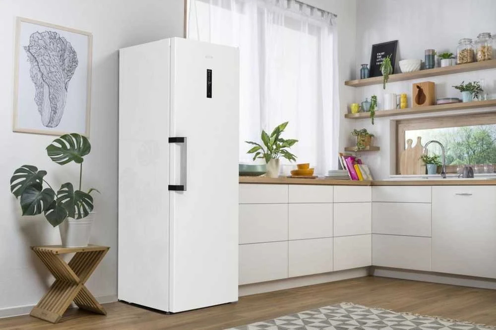 Šaldytuvas GORENJE R619EAW6