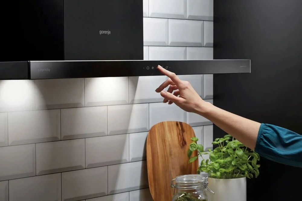 GORENJE WHT9SYB gartraukis