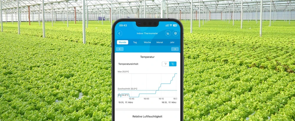 Govee H5075 Bluetooth termometras hidrometras su ekranu