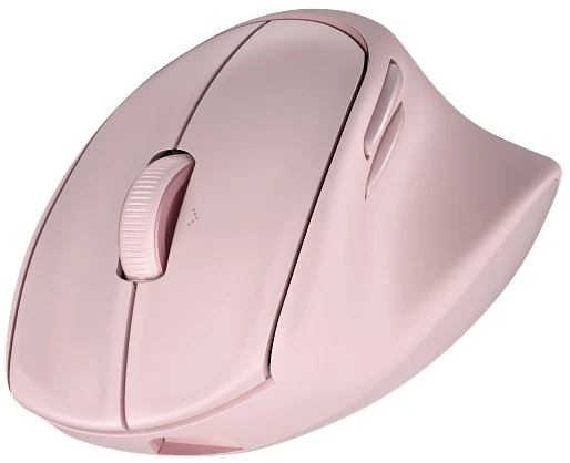 Hewlett Packard (HP) HP Tilt Ergo PNK MSE 720M EMEA-INTL EN L pelė dešinei rankai RF belaidė + Bluetooth 6000 DPI