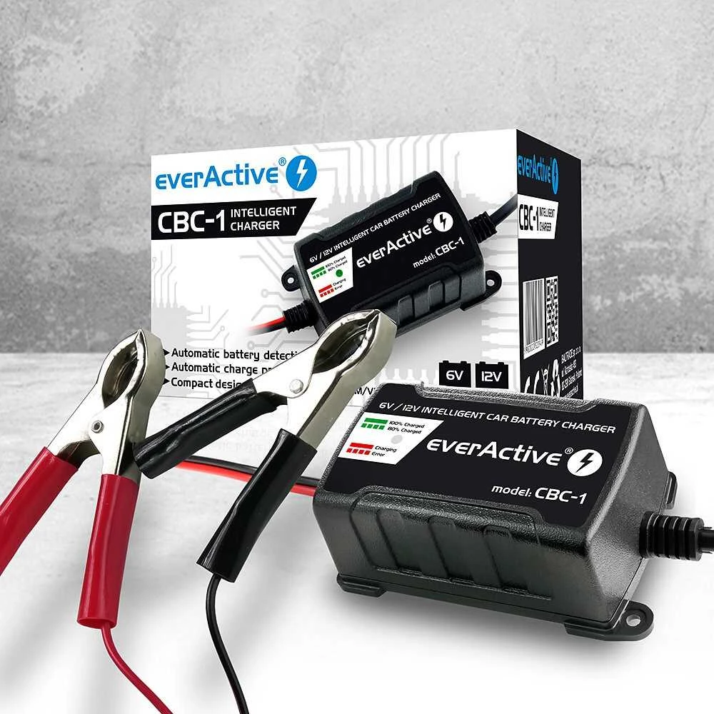 everActive universalus automatinis 6/12V 1000mA akumuliatorių kroviklis