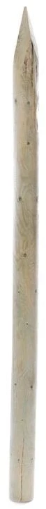 Sharp Įmirkytas kuolas 5-6x150cm aštrus 3cl