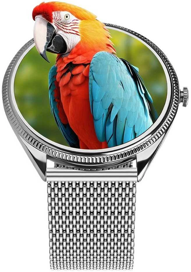 Išmanusis laikrodis TITMO O-170 (AMOLED, bluetooth call, stainless steal sidabrinis mesh strap) sidabrinis