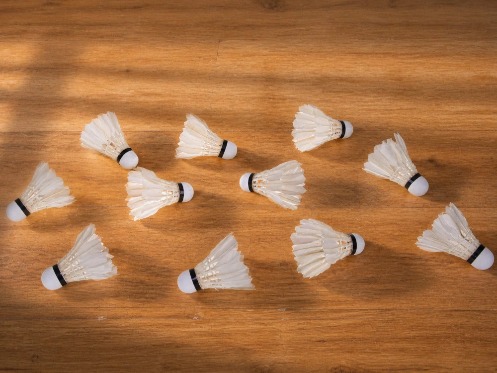 Jokomisiada Badminton shuttlecocks made of natural feathers - set of 12 in a tube SP0863
