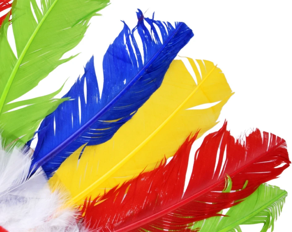Jokomisiada Colourful Feather Headdress for Children Costume Headband ZA6431