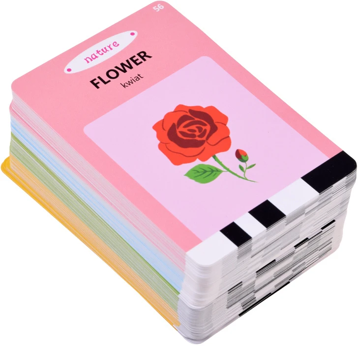 Jokomisiada Flashcard Reader for Learning Words – POLISH ENGLISH – 224 Learning Cards ZA6628