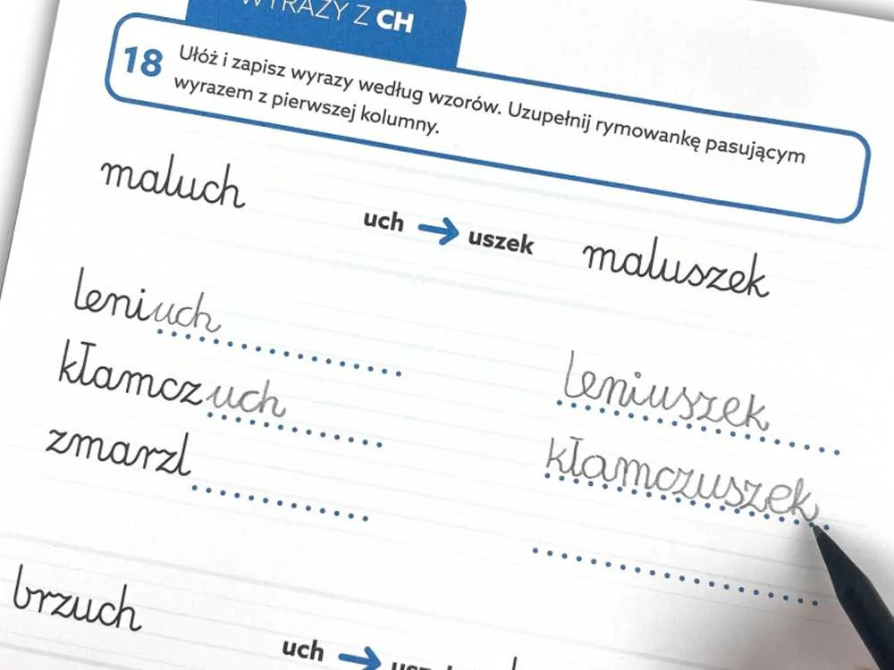 KNYGA Edgard Kapitonas Nauka. Kapitono mokslo edukacinė serija. Rašyba. Pratimai KS1203